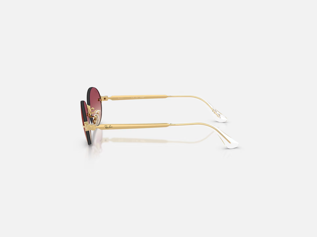 Ray-Ban 3929